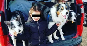 Galerie foto - poza 4