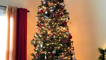 Iluzie optică de Ajun | Găsiți pisica ascunsă în bradul de Crăciun din imagine