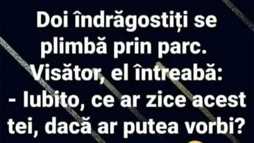 BANC | Iubito, ce ar zice acest tei dacă ar putea vorbi?