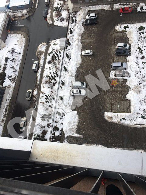 Scene de groază în Berceni! Femeia căreia i s-a aruncat căţeluşul pe fereastră rupe tăcerea! Omul temutului „Şefu” şi-a ieşit din minţi şi l-a aruncat de la etajul 14, într-o fracţiune de secundă!