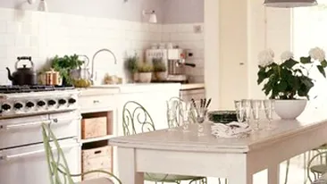 Dana Rogoz ia gatitul mult mai in serios si pentru asta isi tuneaza bucataria! Vezi cum vrea sa redecoreze