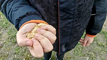 Ți se rupe sufletul! Motivul pentru care un băiețel ucrainean de 6 ani a mers 1500 de kilometri cu o piatră în mână, până în România