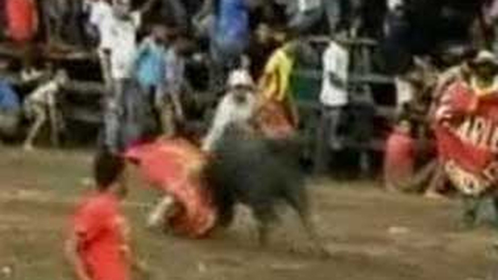 VIDEO EXTREM DE SOCANT! 3 morti si 37 de raniti, la o corida!