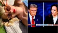 Lovitura pe care Donald Trump a primit-o imediat după dezbaterea cu Harris