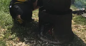 Galerie foto - poza 3