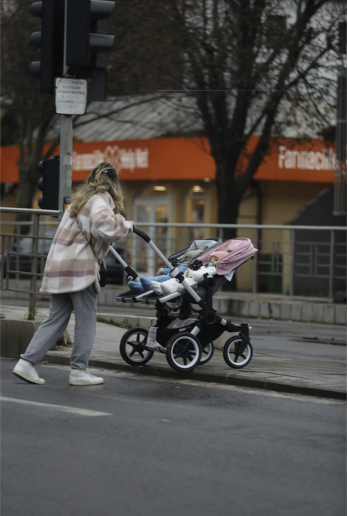 Alina Laufer a ieșit la plimbare cu gemenii de nouă luni
