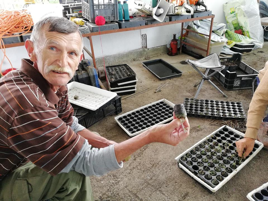 Emeric Kolbaszer, constructorul transformat în cultivator de goji