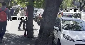 Galerie foto - poza 2