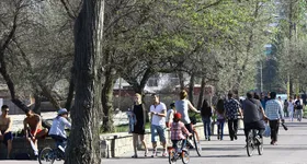 Galerie foto - poza 3