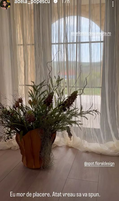 Cum arată casa de la Șușani a Adelei Popescu? Ai zice că e ruptă dintr-un peisaj din Toscana