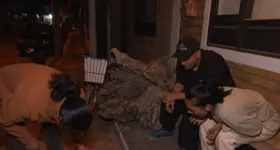 Galerie foto - poza 2