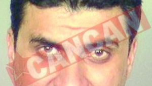 Finul lui Fane Spoitoru', arestat in Los Angeles