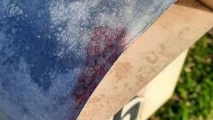 A fost "marcată"! O femeie a găsit o linie roșie pe cutia poștală și a înlemmnit când a aflat ce înseamnă acest lucru, de fapt