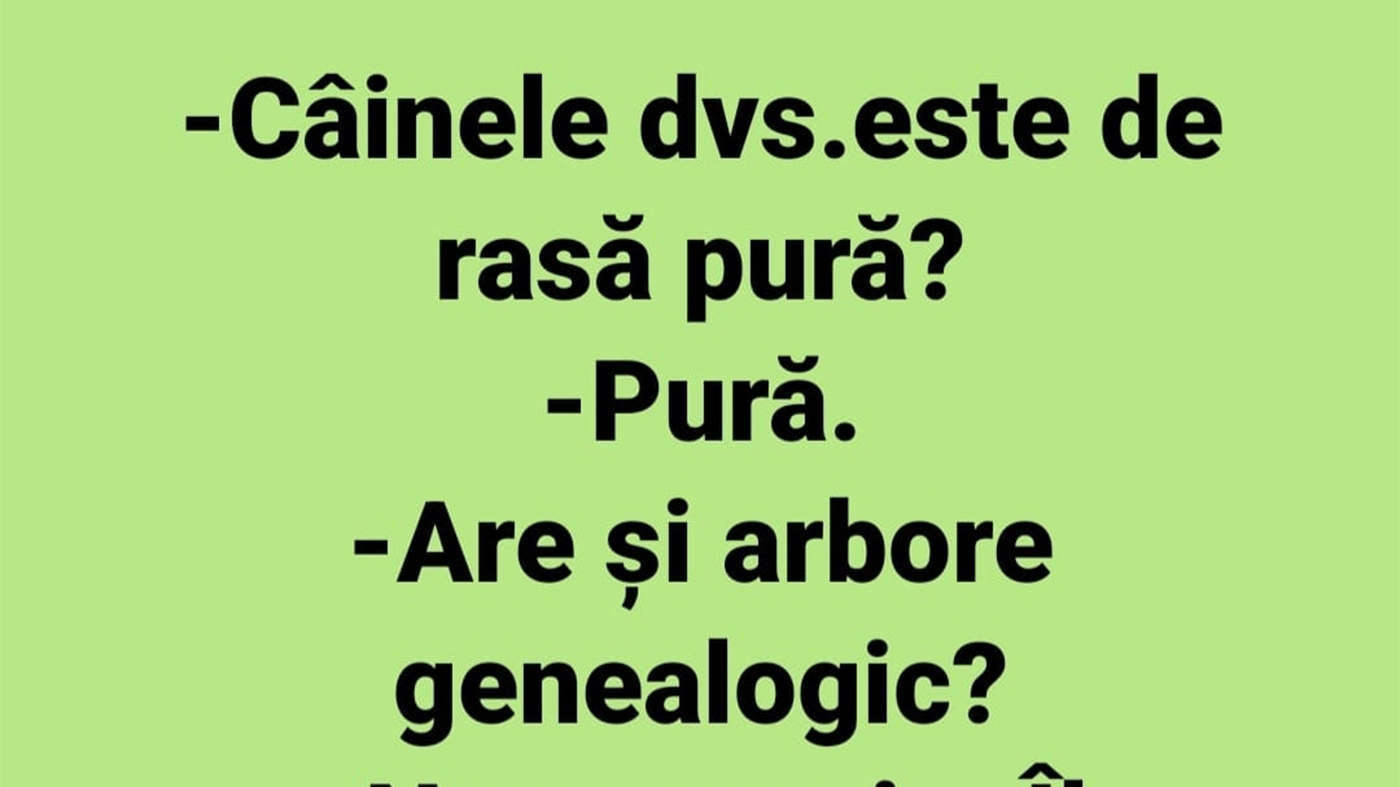 BANCUL ZILEI | "Câinele dumneavoastră este de rasă pură?"