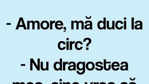 BANCUL ZILEI | "Amore, mă duci la circ?"