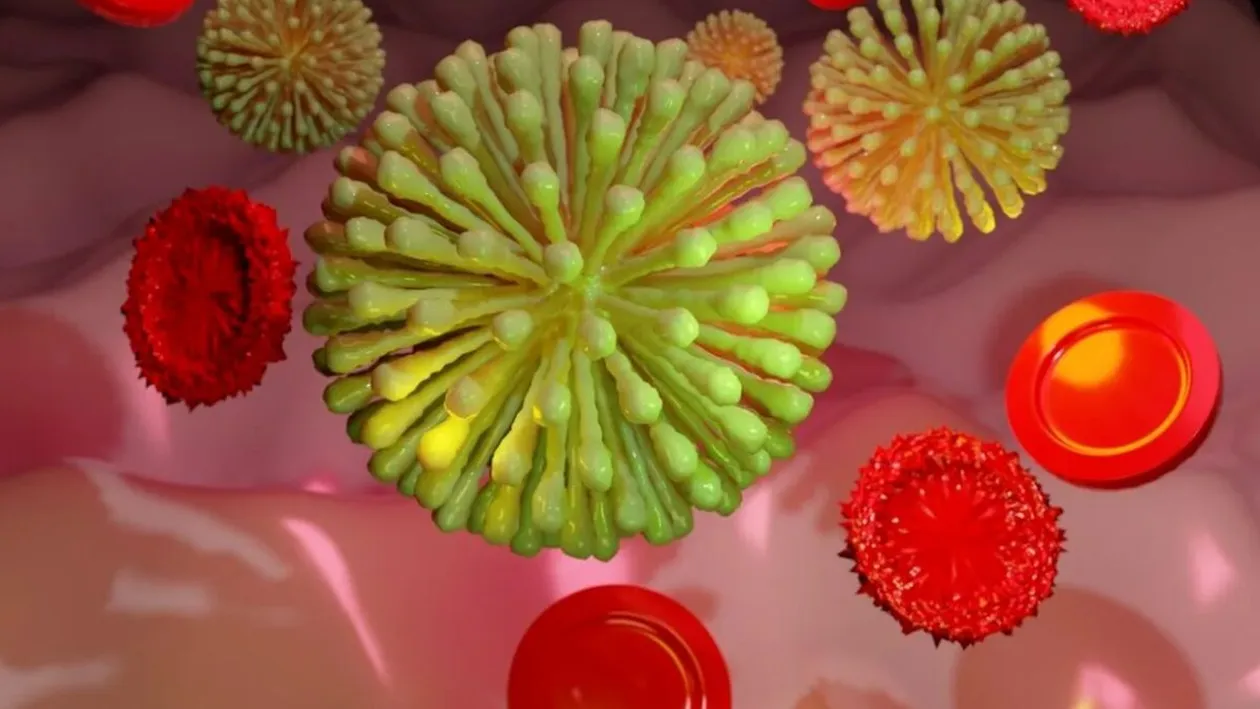 Lucrul banal care îți afectează sistemul imunitar. Îl faci aproape zilnic