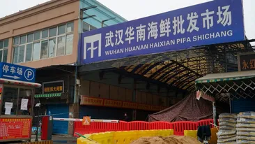 Descoperire uluitoare! Virusul similar COVID-19, ținut secret șapte ani în laboratorul din Wuhan