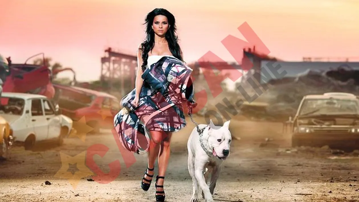 A investit 40.000 de euro in poze