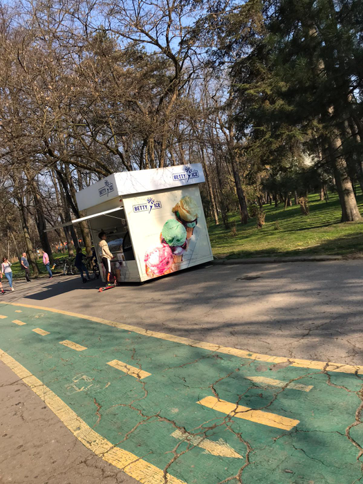 Imagini halucinante. Bucureștenii au ieșit la picnic în Herăstrău: Și-au scos măsuțele la „iarbă verde”!