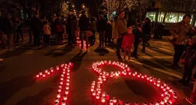 Galerie foto - poza 2