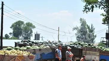 Batausul care a ucis din placere si-a facut geamantan cadavrul victimei