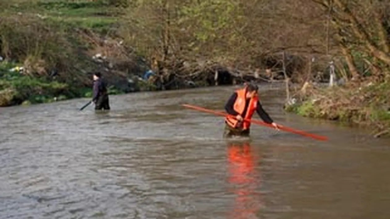 Doua persoane au cazut de la 15 metri cu masina intr-o mlastina de pe raul Arges