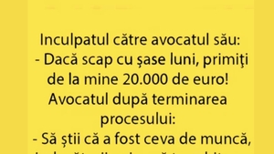 BANCUL ZILEI | Inculpatul către avocat: "Dacă scap cu 6 luni, primiți de la mine 20.000 de euro"