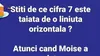 BANCUL ZILEI | Adevărul despre 7: De ce este singura cifră tăiată cu o liniuță?