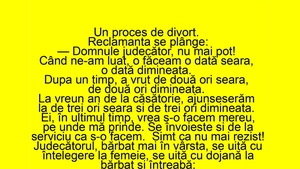 BANC | Nevasta, la procesul de divorț: "Domnule judecător, nu mai pot!"