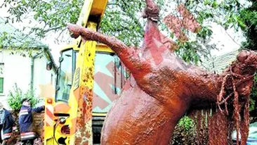 6 milioane de tone de otrava rosie la Tulcea