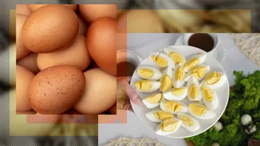 Care sunt mai bune: ouăle albe sau cele maro? Pe care trebuie să le alegi?