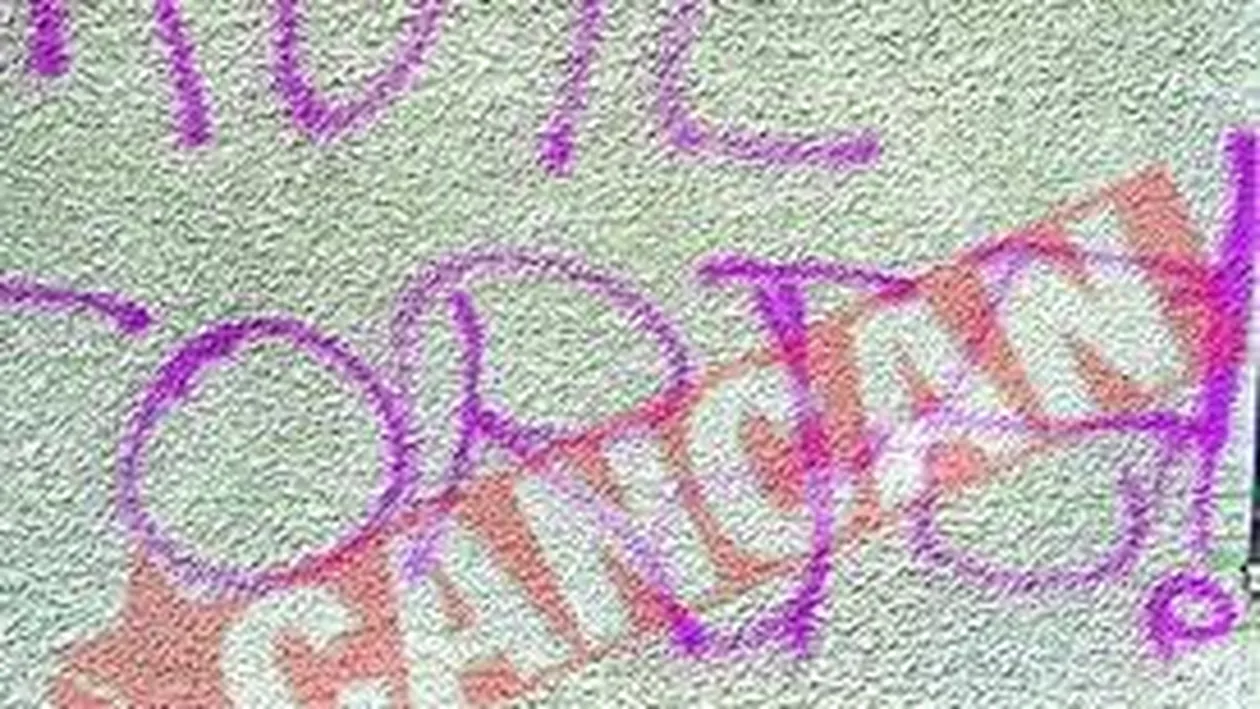 Fanii viola vor sa-l bata pe Torje in fata casei parintesti