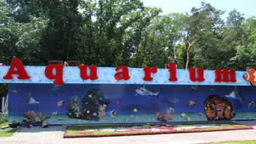 Primaria Capitalei le-a pregatit zeci de surprize copiilor, de ziua lor!