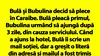 BANC | Bulă și Bubulina decid să plece în Caraibe