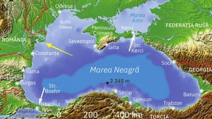 Ce se vede în Marea Neagră are o explicație uluitoare. Oamenii de știință au găsit legătura dintre locul în care se varsă Dunărea și apariția algelor