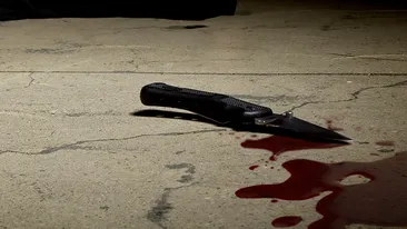 Bihor: Fata de 13 ani care și-a înjunghiat bunica și a fugit dintr-un centru de minori a fost găsită