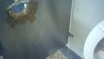 Cel mai pervers fetis din Bucuresti! Ce au ajuns sa faca minoitatile sexuale in toaletele din mall-uri