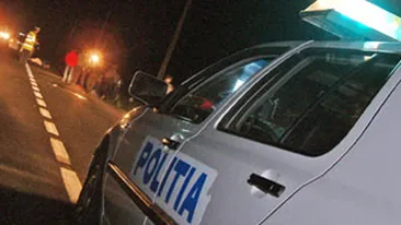 A vrut sa descarce basculanta si a distrus cinci stalpi de electricitate