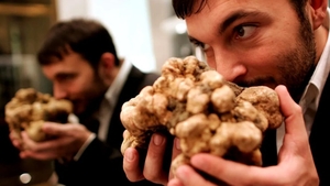 Condimentul care a ajuns să se vândă cu 2500 de euro pe kilogram. Prețul continuă să crească