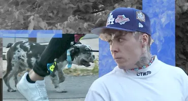 Lino Golden și-a ”strunit” patrupedul prin parc, dar... I-a pus frână cățelușul!