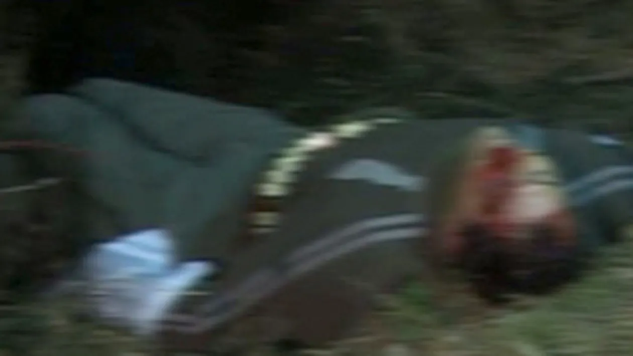 A plecat la vanatoare de mistreti si a murit impuscat de un coleg