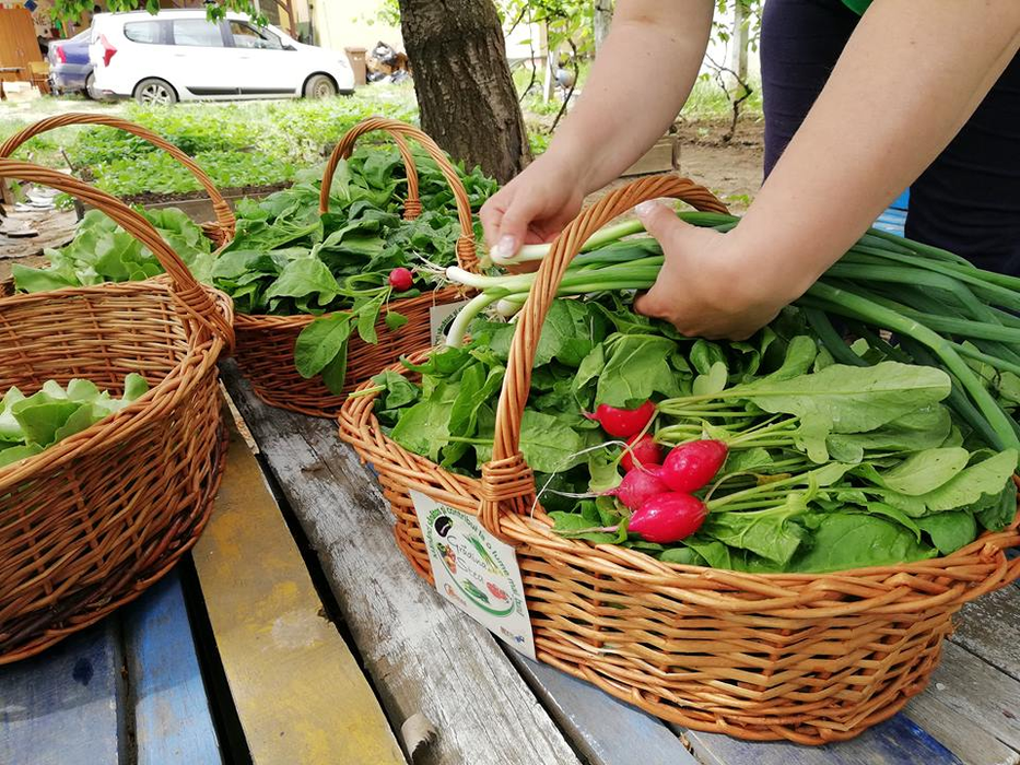 Coșurile cu legume sunt la un sfert din prețul pieței