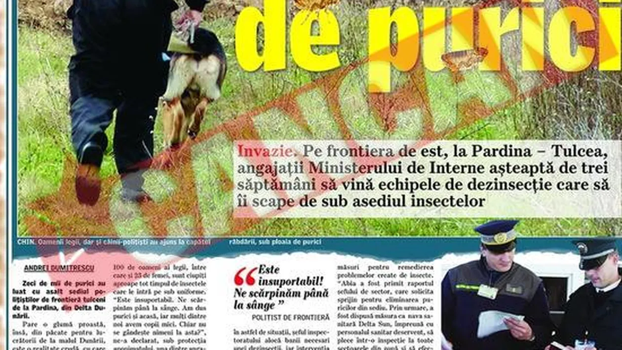 Teatrul din Deva, invadat de purici