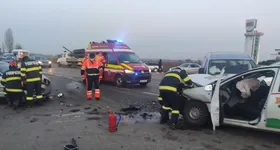 Galerie foto - poza 3