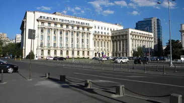 Replica MAI pentru un român interesat de drogurile de pe litoral i-a lăsat mască pe toți