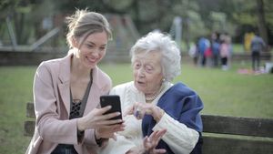 (P) Cele mai utile servicii online oferite de primăriile din România