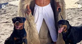 Galerie foto - poza 2