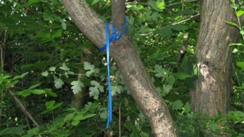 Caz oribil in Dâmboviţa! O fetiţă de patru ani a fost spânzurată de tatăl ei. Bărbatul a incercat să se sinucidă