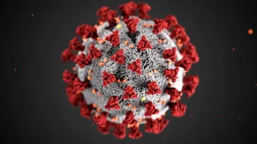 Bilanț decese coronavirus în România. Câte persoane infectate și-au pierdut viața în ultimele 24 de ore 