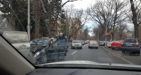 Galerie foto - poza 1